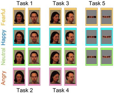 Affective evaluation of consciously perceived emotional faces reveals a “correct attribution effect”